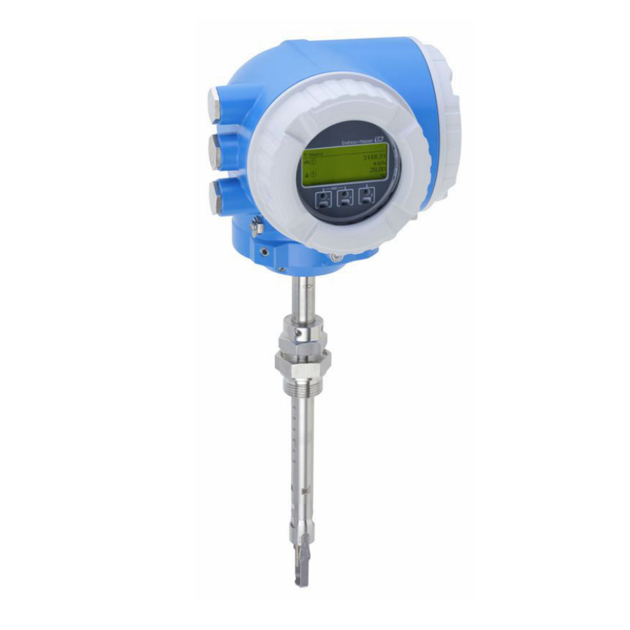  Тепловой массовый расходомер Proline t-mass I 300 Endress+Hauser